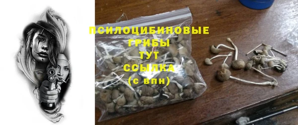 ГАЛЛЮЦИНОГЕННЫЕ ГРИБЫ Краснослободск