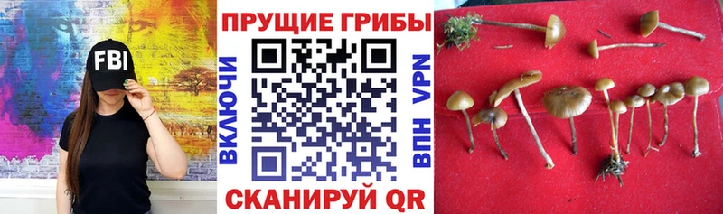 Галлюциногенные грибы MAGIC MUSHROOMS Макарьев